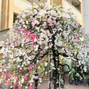 ヒメ日記 2026/04/06 14:30 投稿 しの ぷるるんマダム 難波店