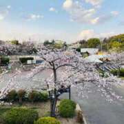 ヒメ日記 2026/04/07 13:00 投稿 しの ぷるるんマダム 難波店