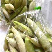 ヒメ日記 2026/04/14 13:07 投稿 しの ぷるるんマダム 難波店