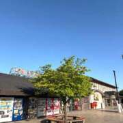 ヒメ日記 2026/05/10 06:52 投稿 しの ぷるるんマダム 難波店