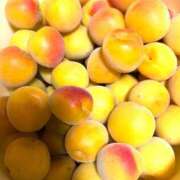 ヒメ日記 2026/06/10 22:15 投稿 しの ぷるるんマダム 難波店