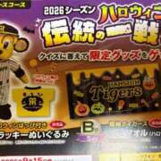 ヒメ日記 2026/09/16 20:59 投稿 しの ぷるるんマダム 難波店