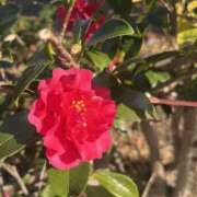 ヒメ日記 2025/01/07 16:50 投稿 るな 快楽玉乱堂