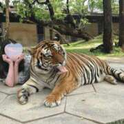 ヒメ日記 2025/03/24 13:05 投稿 るな 快楽玉乱堂