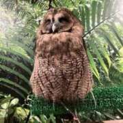 ヒメ日記 2025/10/06 17:26 投稿 るな 快楽玉乱堂