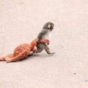 ヒメ日記 2026/02/14 17:41 投稿 るな 快楽玉乱堂