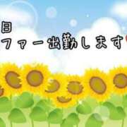 ヒメ日記 2024/07/24 11:39 投稿 いちじょう 厚木人妻城