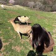 ヒメ日記 2025/04/11 13:08 投稿 せな それいけ！ヤリスギ学園～舐めたくてグループ横浜校～
