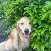 ヒメ日記 2025/05/13 16:09 投稿 せな それいけ！ヤリスギ学園～舐めたくてグループ横浜校～