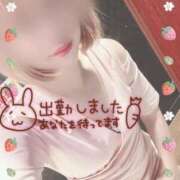 ヒメ日記 2025/01/17 14:19 投稿 ありす XSTASY（エクスタシー）