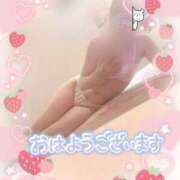 ヒメ日記 2025/03/16 11:22 投稿 ありす XSTASY（エクスタシー）