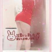 ヒメ日記 2025/05/05 14:19 投稿 ありす XSTASY（エクスタシー）