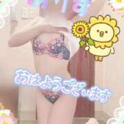 ヒメ日記 2025/07/31 09:42 投稿 ありす XSTASY（エクスタシー）