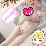 ヒメ日記 2025/09/13 11:47 投稿 ありす XSTASY（エクスタシー）