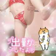 ヒメ日記 2025/11/11 14:00 投稿 ありす XSTASY（エクスタシー）