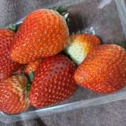 ヒメ日記 2025/02/11 01:11 投稿 小森　なお ワイフコレクション