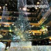 小森　なお さあ月に一度の写メ日記です小森の。 ワイフコレクション