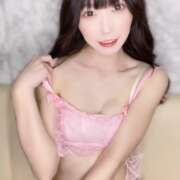 ヒメ日記 2024/12/13 17:25 投稿 ゆん C.C.CATS