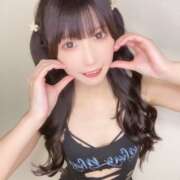 ヒメ日記 2024/12/14 17:25 投稿 ゆん C.C.CATS