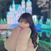 ヒメ日記 2024/12/15 19:45 投稿 ゆん C.C.CATS