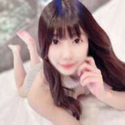 ヒメ日記 2024/12/24 18:05 投稿 ゆん C.C.CATS