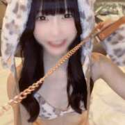 ヒメ日記 2024/12/25 19:25 投稿 ゆん C.C.CATS