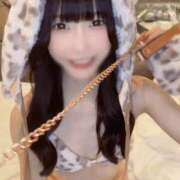 ヒメ日記 2025/01/24 19:44 投稿 ゆん C.C.CATS