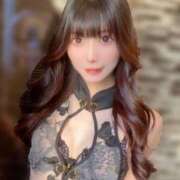 ヒメ日記 2025/02/10 17:26 投稿 ゆん C.C.CATS