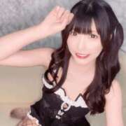 ヒメ日記 2025/02/20 20:26 投稿 ゆん C.C.CATS