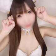 ヒメ日記 2025/03/14 17:27 投稿 ゆん C.C.CATS