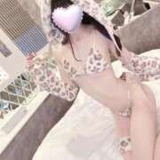 ヒメ日記 2025/03/30 17:26 投稿 ゆん C.C.CATS