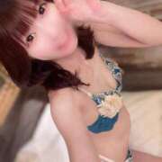 ヒメ日記 2025/04/22 15:46 投稿 ゆん C.C.CATS