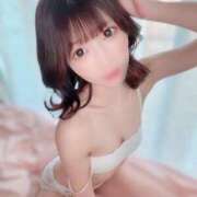 ヒメ日記 2025/06/21 17:02 投稿 ゆん C.C.CATS