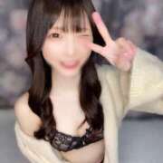 ヒメ日記 2025/06/25 17:41 投稿 ゆん C.C.CATS