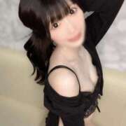 ヒメ日記 2025/07/04 14:42 投稿 ゆん C.C.CATS