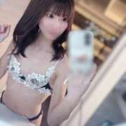 ヒメ日記 2025/07/05 12:21 投稿 ゆん C.C.CATS