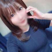 ヒメ日記 2025/07/11 12:02 投稿 ゆん C.C.CATS