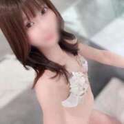 ヒメ日記 2025/08/09 18:41 投稿 ゆん C.C.CATS