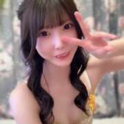 ヒメ日記 2025/08/19 19:42 投稿 ゆん C.C.CATS