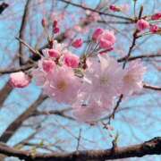 ヒメ日記 2025/03/30 15:25 投稿 かんな ラッシュアワー