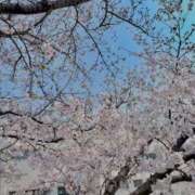 かんな 🌸🌱🌸🌱 ラッシュアワー