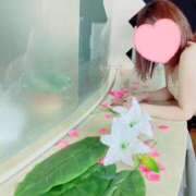 ヒメ日記 2025/07/27 00:17 投稿 かすみ 北九州人妻倶楽部（三十路、四十路、五十路）