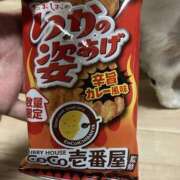 ヒメ日記 2025/07/29 02:48 投稿 かすみ 北九州人妻倶楽部（三十路、四十路、五十路）