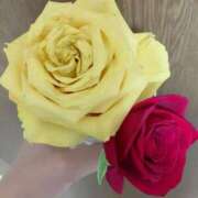 ヒメ日記 2025/09/22 16:41 投稿 かすみ 北九州人妻倶楽部（三十路、四十路、五十路）