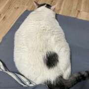 ヒメ日記 2025/10/24 18:46 投稿 かすみ 北九州人妻倶楽部（三十路、四十路、五十路）