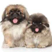 ヒメ日記 2025/12/18 20:28 投稿 かすみ 北九州人妻倶楽部（三十路、四十路、五十路）