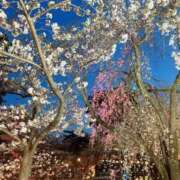 ヒメ日記 2026/04/02 22:02 投稿 かすみ 北九州人妻倶楽部（三十路、四十路、五十路）