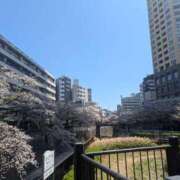 ヒメ日記 2025/04/12 21:17 投稿 ももな みせすはーと