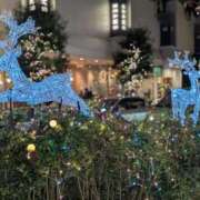 ヒメ日記 2025/11/30 21:15 投稿 ももな みせすはーと