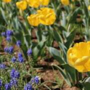 ヒメ日記 2026/03/02 21:15 投稿 ももな みせすはーと